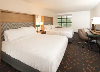 Holiday Inn & Suites Ann Arbor Univ Michigan Area by IHG hotel thumbnail 4