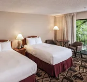 DoubleTree by Hilton Durango hotel detail image 5