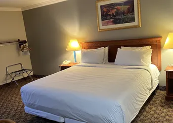 Hotel Xola hotel thumbnail 8