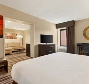 Holiday Inn Washington-Dulles International Airport by IHG hotel detail image 7