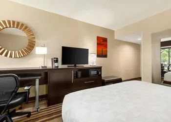 Holiday Inn Washington-Dulles International Airport by IHG hotel thumbnail 8