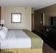 Holiday Inn Express Big Rapids by IHG hotel detail image 5