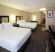 Holiday Inn Express & Suites St Joseph by IHG hotel detail image 7