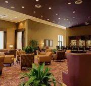 Embassy Suites by Hilton Minneapolis North hotel detail image 3