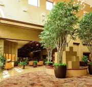 Embassy Suites by Hilton Minneapolis North hotel detail image 4