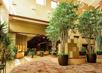 Embassy Suites by Hilton Minneapolis North hotel thumbnail 4