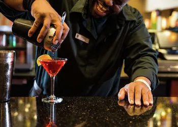 Embassy Suites by Hilton Minneapolis North hotel thumbnail 5