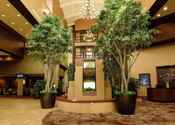 Embassy Suites by Hilton Minneapolis North hotel thumbnail 6