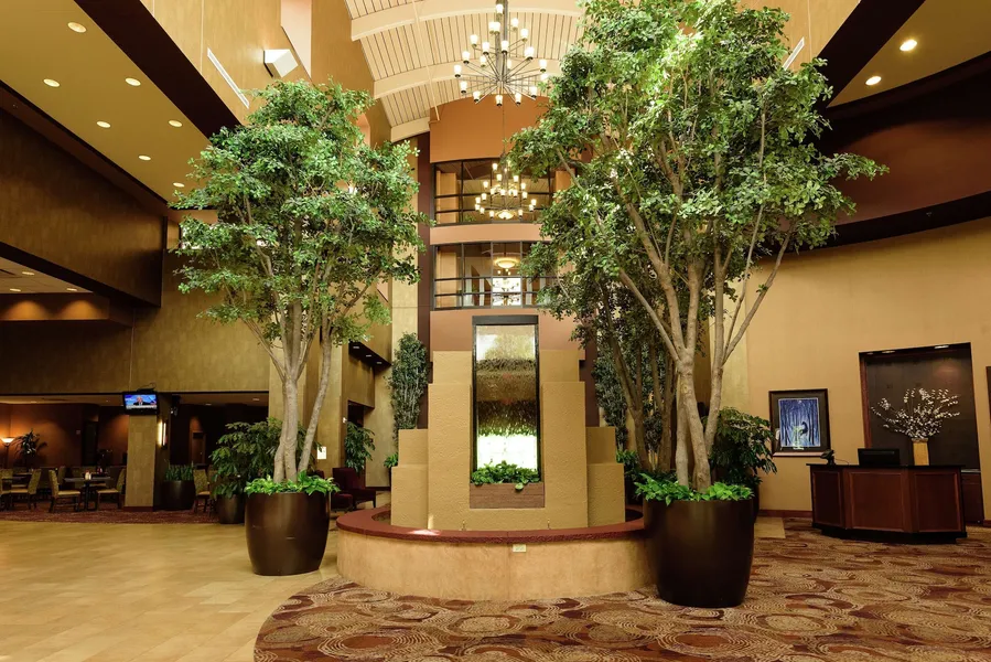 Embassy Suites by Hilton Minneapolis North hotel detail image 6