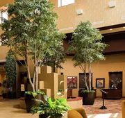 Embassy Suites by Hilton Minneapolis North hotel detail image 7