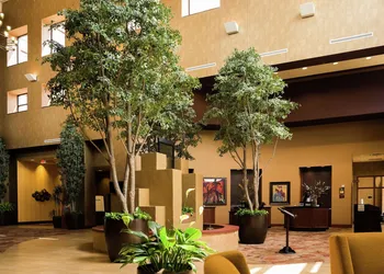 Embassy Suites by Hilton Minneapolis North hotel thumbnail 7