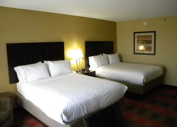 Holiday Inn Express Hotel & Suites Bowling Green by IHG hotel thumbnail 5