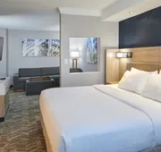 SpringHill Suites Detroit Southfield hotel detail image 4