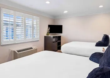 Signature Inn San Francisco Marina District hotel thumbnail 5