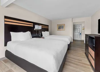 Days Inn by Wyndham Albany SUNY hotel thumbnail 6