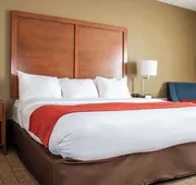 Comfort Inn Dickson hotel detail image 7