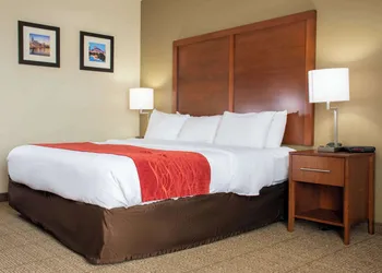 Comfort Inn Dickson hotel thumbnail 8