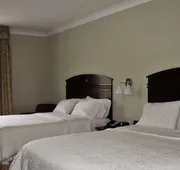 Hampton Inn Americus hotel detail image 5