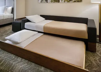 SpringHill Suites by Marriott Raleigh-Durham Airport/Research Triangle Park hotel thumbnail 5