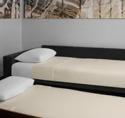 SpringHill Suites by Marriott Pittsburgh Southside Works hotel detail image 7