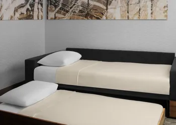 SpringHill Suites by Marriott Pittsburgh Southside Works hotel thumbnail 7
