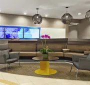 SpringHill Suites by Marriott Dulles Airport hotel detail image 4