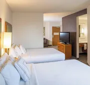 Springhill Suites by Marriott Hampton Coliseum hotel detail image 4