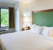 Springhill Suites by Marriott Hampton Coliseum hotel detail image 7