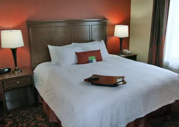 Hampton Inn by Hilton Edmonton/South, Alberta, Canada hotel thumbnail 7