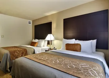 Comfort Suites Albuquerque/North Journal Center hotel thumbnail 6