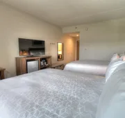Holiday Inn & Suites Pigeon Forge Convention Center by IHG hotel detail image 5