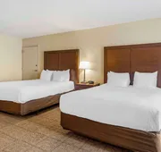 Comfort Suites East Lincoln - Mall Area hotel detail image 7