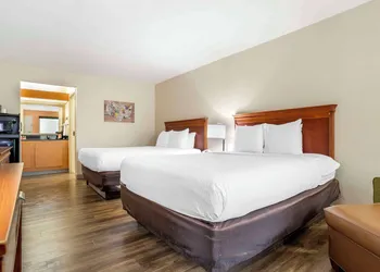Econo Lodge Moss Point - Pascagoula hotel thumbnail 7