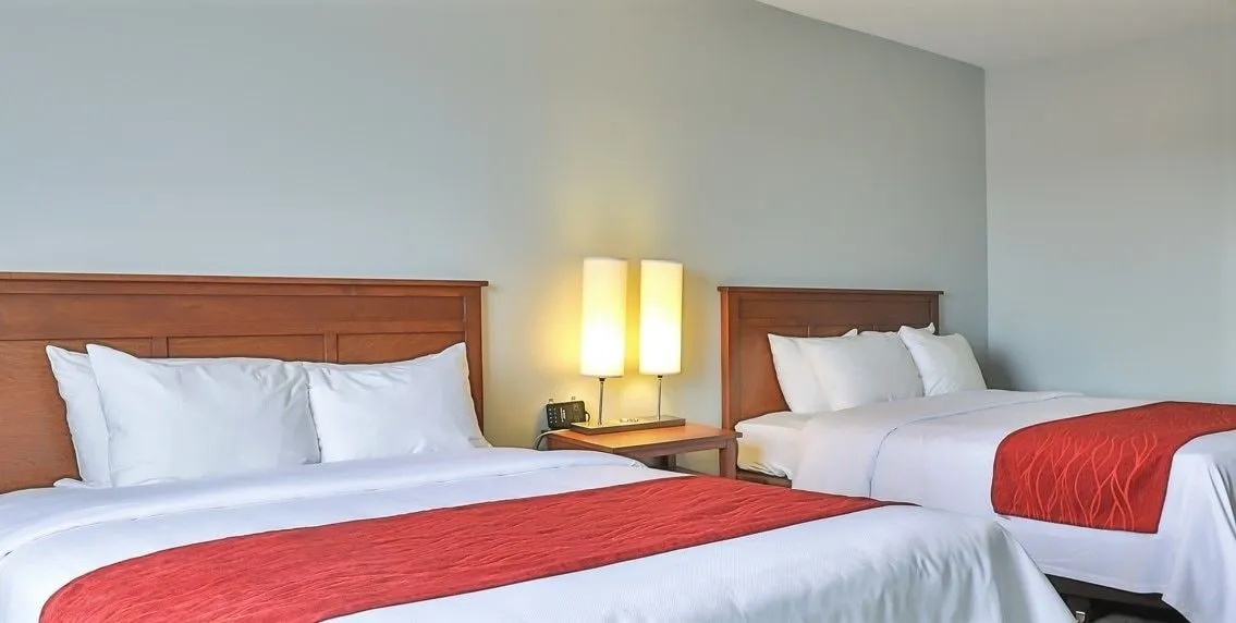 Comfort Inn and Suites St Jerome hotel detail image 6