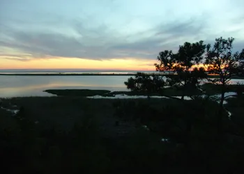 Hampton Inn Mobile-East Bay/Daphne hotel thumbnail 4