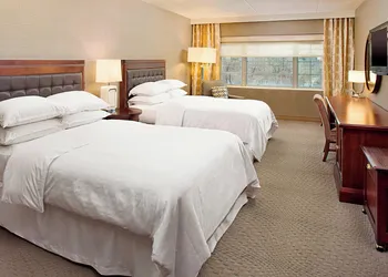 Sheraton Rockville Hotel hotel thumbnail 6