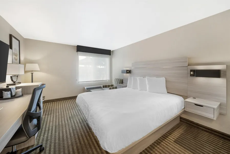 Best Western Plus Twin View Inn & Suites hotel detail image 6