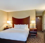 DoubleTree by Hilton Hotel Johnson City hotel detail image 7