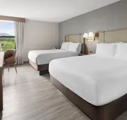 Holiday Inn Roanoke-Tanglewood-Rt 419&i581 by IHG hotel detail image 7
