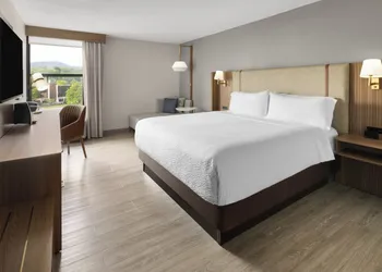 Holiday Inn Roanoke-Tanglewood-Rt 419&i581 by IHG hotel thumbnail 8