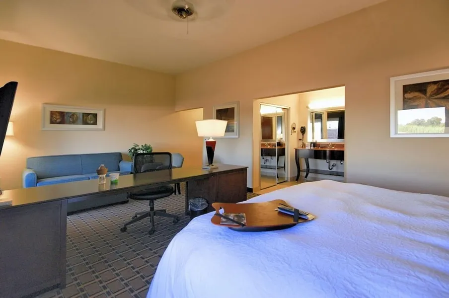 Hampton Inn & Suites New Iberia Avery Island hotel detail image 6