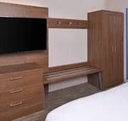 Holiday Inn Express & Suites Omaha - 120th and Maple by IHG hotel detail image 3