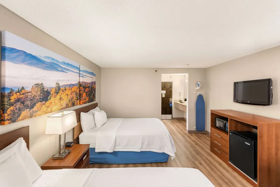 Days Inn by Wyndham Raleigh-Airport-Research Triangle Park hotel detail image 6