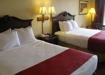 Super 8 by Wyndham Sumter hotel thumbnail 6