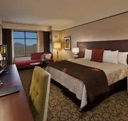 Casino Del Sol Resort hotel detail image 3