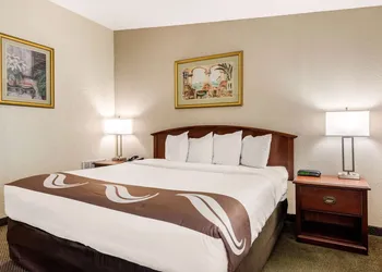 Quality Inn & Suites Tarpon Springs South hotel thumbnail 7