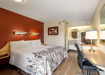 Red Roof Inn Albany Airport hotel thumbnail 4