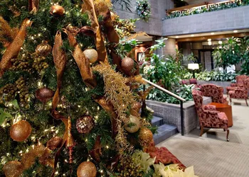 Radisson Hotel Corning hotel thumbnail 2