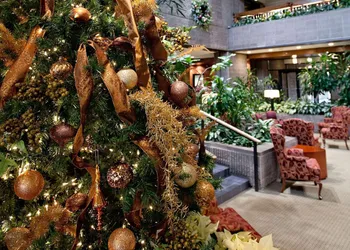 Radisson Hotel Corning hotel thumbnail 2