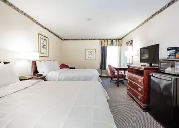 The View Inn & Suites hotel thumbnail 6